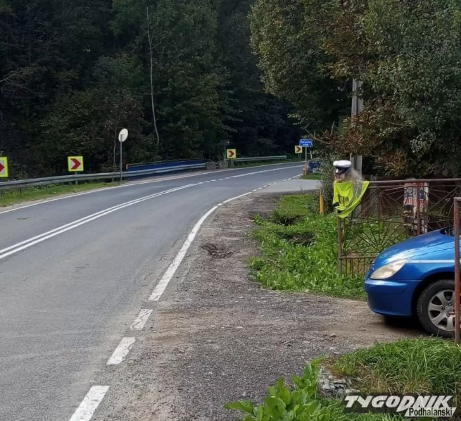 To chyba najbrzydsza policjantka w Polsce