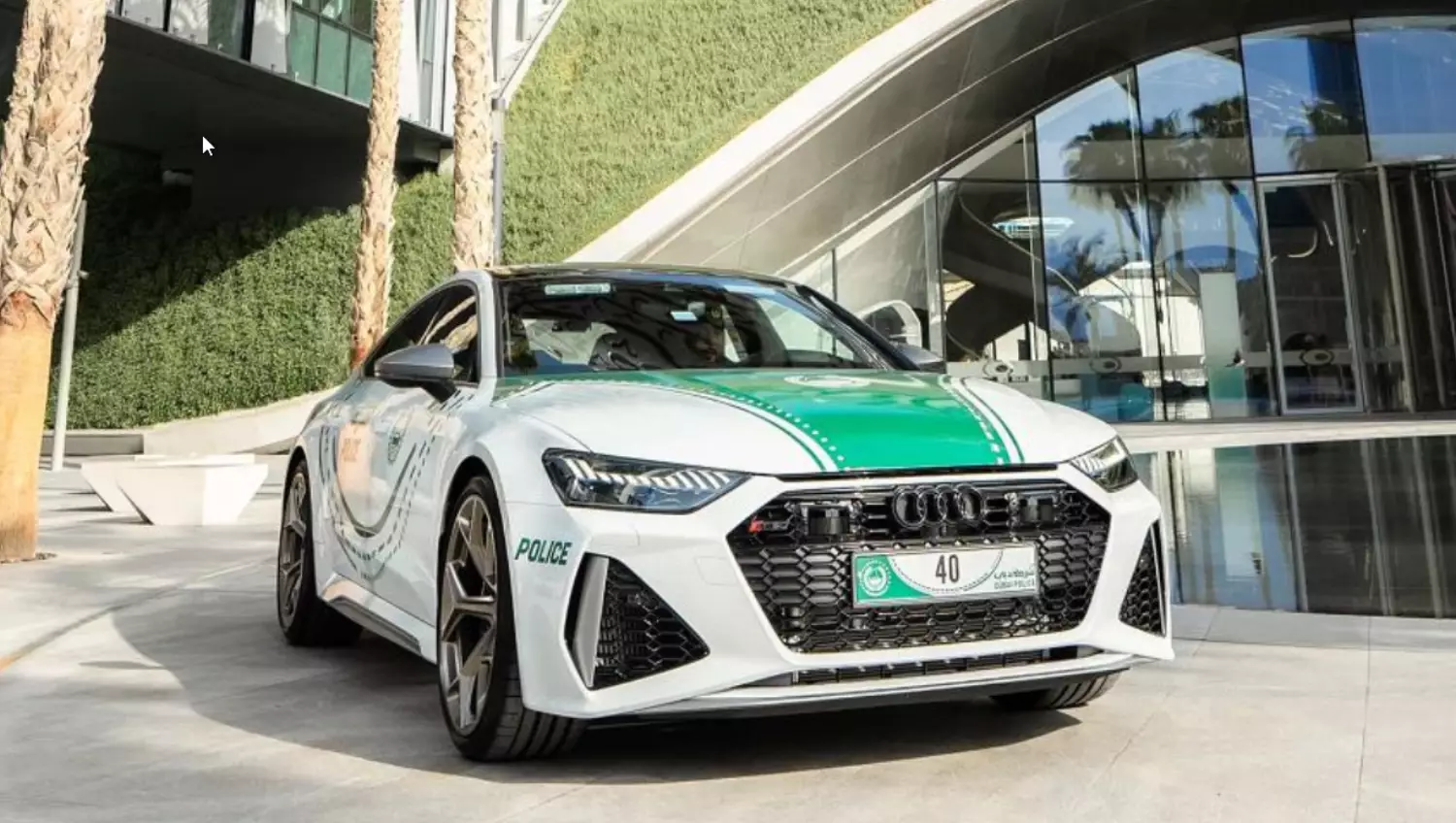 Fot. Dubai Police
