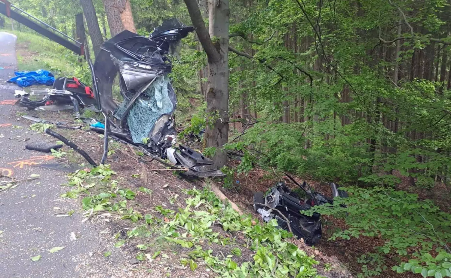Mitsubishi rozpadło się na drzewie