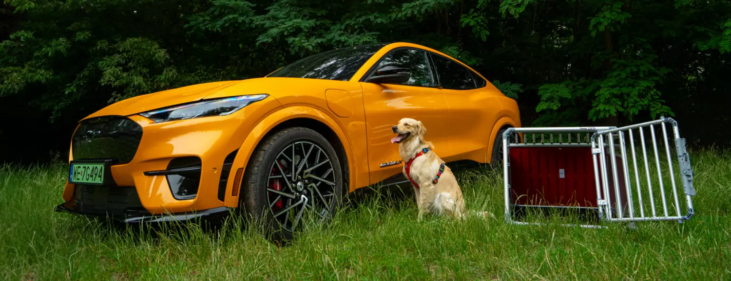 Ford Mustang Mach-E i pies. Zdjęcia